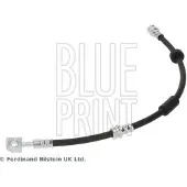Blue Print ADBP530067 Remslang