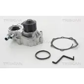 TRISCAN 8600 68022 Waterpomp