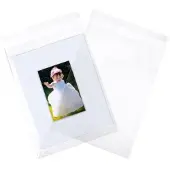 Packlinq Plastic Zakken 23,4x32,5cmTransparant en Hersluitbaar (100 stuks) | Plastic zak