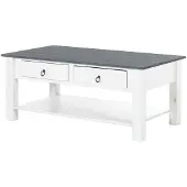 Loft 24 Ines-Salontafel - 2-laden - Wit/Grijs Grenen
