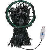 vidaXL Kerstboomverlichting met 250 LED's koudwit net 250 cm