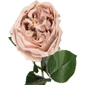 Clayre & Eef Kunstbloem Roos 43 cm Beige Kunststof