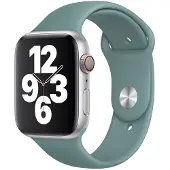 Apple Watch 42/44 mm Siliconen Horlogeband Sport Cactus