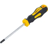 Bgs Schroevendraaier - Torx T30 - Meslengte 100 mm