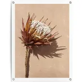 Reinders - Shadow Still - Tuinposter 80x60cm