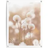 Reinders - Cotton Field - Tuinposter 80x60cm