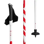 Swix Q6 Stokken