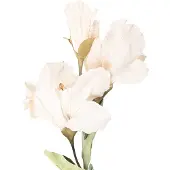 Clayre & Eef Kunstbloem 85 cm Beige Kunststof