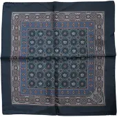 Dolce&Gabbana Blauwe Gedrukte Zijde Vierkante Mannen Foulard Sjaal