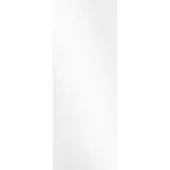 vidaXL Wandspiegel Rechthoekig 40 x 100 cm gehard glas