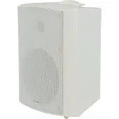AVSL BP6V-W 100V speaker 120 Watt