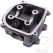 101 Octane Gy14191 Cilinderkop