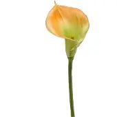 Easyplants Kunstlelie Calla geel 70 cm