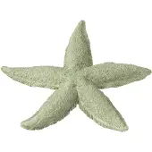 J-Line decoratie Zeester - polyresin - muntgroen - small - 2 stuks