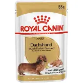 Royal Canin 48x Dachshund Adult Hondenvoer Nat 85 gr