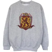 Harry Potter Jongens Gryffindor borstembleem Sweatshirt (Sportgrijs)