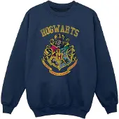 Harry Potter Meisjes gevuld Varsity-sweatshirt met helm (Marineblauw)