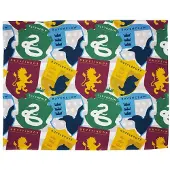 Harry Potter Fleece Stickers Deken (Veelkleurig)