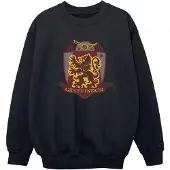 Harry Potter Jongens Gryffindor borstembleem Sweatshirt (Zwart)