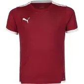 Puma Functioneel shirt 'TeamLiga' kersrood / wit