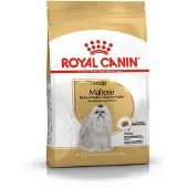 Royal Canin 6x Hondenvoer Droog Maltese Adult 1,5 kg