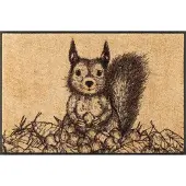 Kleen-Tex Wash+Dry Design Wasbare Deurmat - Squirry - 50 x 75cm