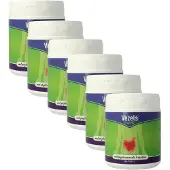 Libra 6x Vezels naturel psylliumvezels en inulinevezels (300 gram)