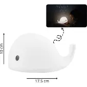 Flow Projector Moby