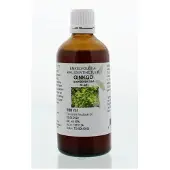 Cruydhof Ginkgo biloba folia tinctuur