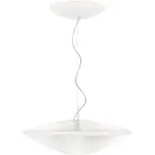 Philips Hue White ambiance - Phoenix hanglamp - 3115231PH