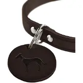 Hunter Pet Aalborg Hondenhalsband