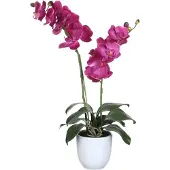 Mica Decorations Orchidee bloem kunstplant - roze - H66 x B38 cm