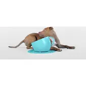 United Pets Voer- / Waterbak Turquoise Met Antislipmat