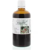 Cruydhof Arctostaphylus uva ursi/berendruif tinctuur