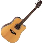 Takamine GD20CE-NS elektr.akoest. westerngitaar ceder top natural satin