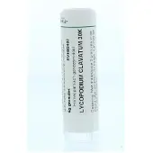 Homeoden Heel Lycopodium clavatum 30K