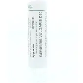 Homeoden Heel Berberis vulgaris D30 6 gram granules