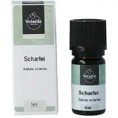 Volatile Scharlei