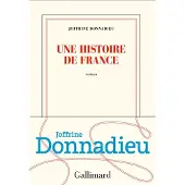 Gallimard Une histoire de France - Joffrine Donnadieu