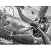 Karo-art Schilderij - Vintage propeller vliegtuig , Zwart wit , 3 maten , Premium print