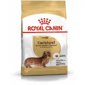Royal Canin 12x Hondenvoer Droog Dachshund Adult 500 gr