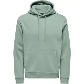 Only & Sons Sweatshirt 'ONSCONNOR' mintgroen