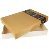 Papstar 10 Catering dozen "pure" hoekig 8 cm x 37,5 cm x 55,5 cm "Good Food" groot