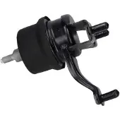 KAVO PARTS EEM-10209 Motorsteunlager