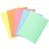 Exacompta 10x SUPER 60 - Pak van 30 inlegmappen - 22x31cm voor A4 - Geassorteerd - 850300E