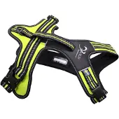 Axaeco 4 Season Power Harness Maat L 70-101cm