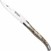 Laguiole En Aubrac Abalone Shell, Brushed Stainless Steel, zakmes, 12 cm