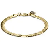 Lucleon Essentials | 6 mm Goudkleurige Armband met Visgraatschakels