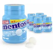 Mentos Kauwgom Mighty Mint Bottle (6x42 stuks)