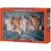 Castorland The Sweetest Kittens Puzzel (1000 stukjes)